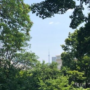 Meet your Posher, Williams